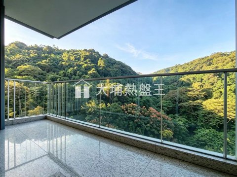 壹號雲頂  