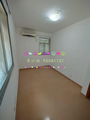 95081731   95081731
