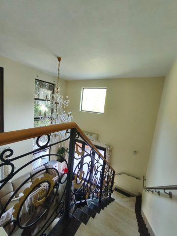 山頂花園 95080030