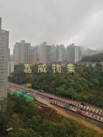 博康村 @ EMILY 95080096