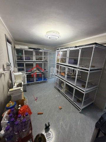 元朗橫州村屋