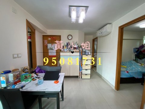 新屋家村  95081731