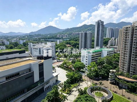 大埔中心  