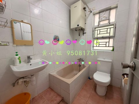 大尾督村   95081731