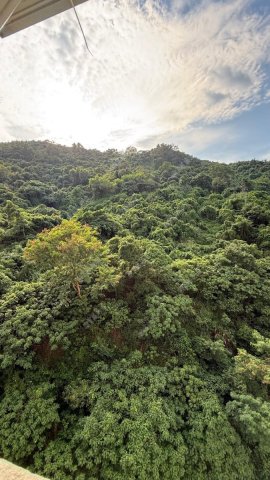 荃威花園 3房1廳 家庭首選