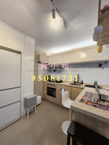 洞梓  95081731  車泊門口