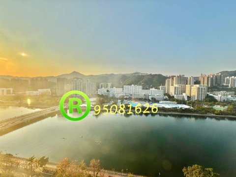 河畔花園 @ EMILY 95080096