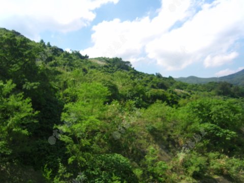 荃威花園