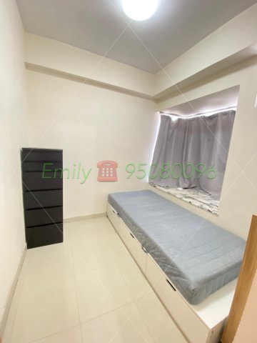 春暉花園 @ EMILY 95080096