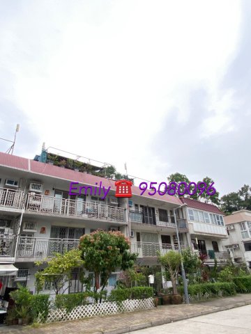 大圍新村 @ EMILY 95080096