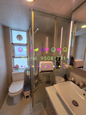 美督南岸  95081731