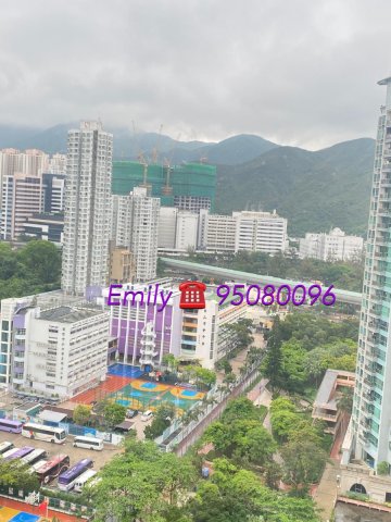 河畔花園 95081626