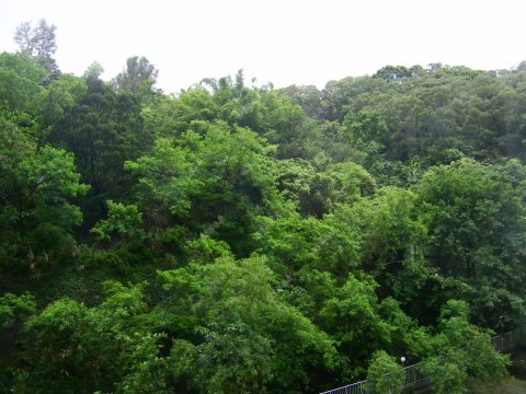 荃威花園 可改三房 荃威花園 可改三房