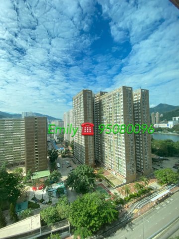 田園閣 @ EMILY 95080096