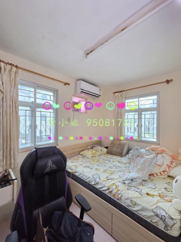 林村新村  95081731