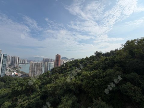 荃威花園 單邊 荃威花園 單邊