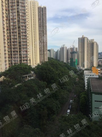 llam.com.hk