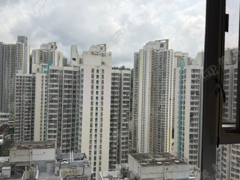 llam.com.hk