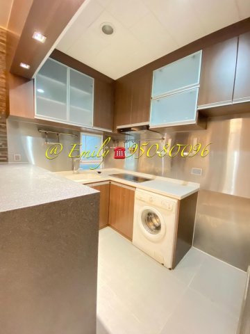 桃花源 @ EMILY 95080096