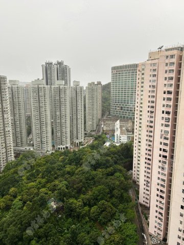 荃景花園 荃景花園
