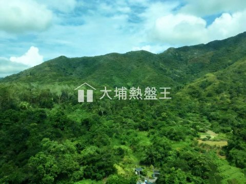 嵐山  