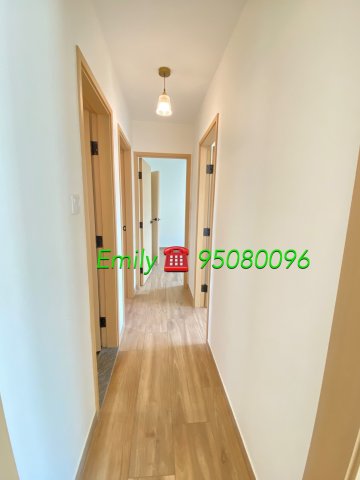 田園閣 @ EMILY 95080096