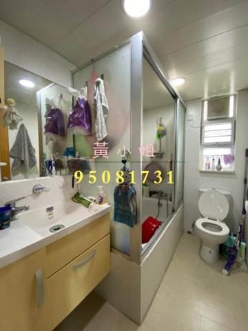 新屋家村  95081731