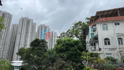 坑口