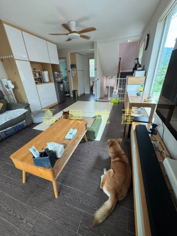 元嶺村 95080030