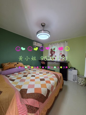 蘆慈田   95081731
