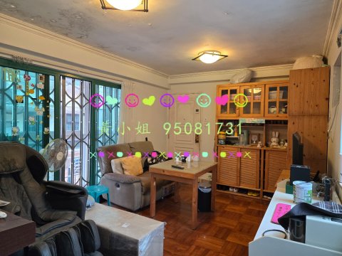 新屋家村  95081731