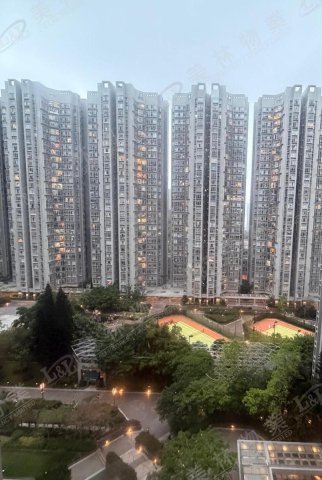 llam.com.hk