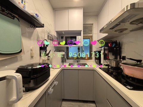 新屋家村   95081731