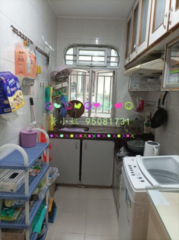 新屋家村 95081731 可泊車