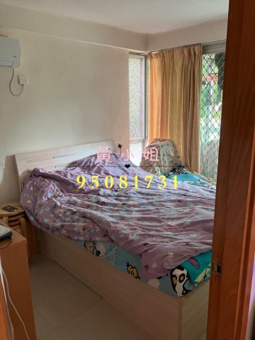 新屋家村  95081731