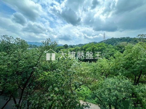 大埔花園  