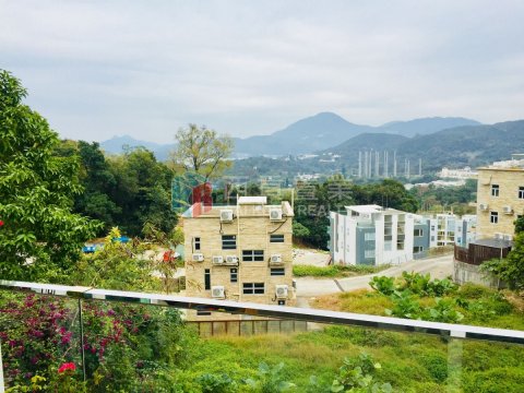 菠蘿輋