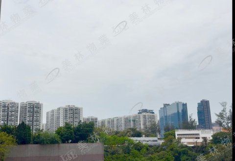 llam.com.hk