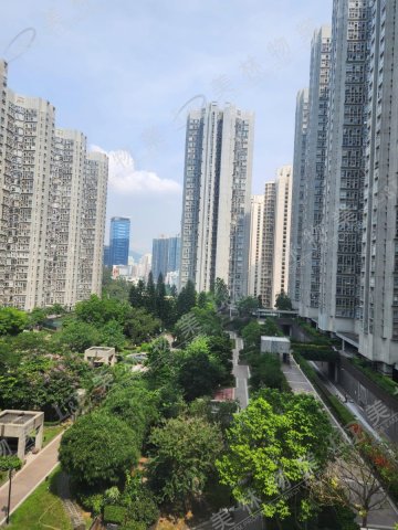 llam.com.hk
