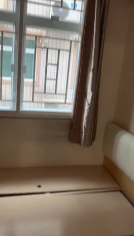 大圍新村 @ EMILY 95080096