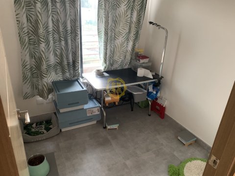 泥圍村屋