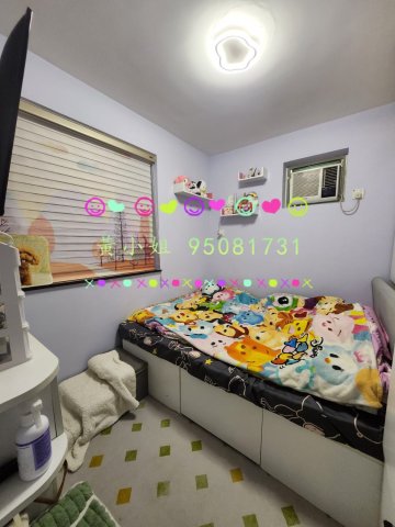 洞梓   95081731 車泊門口