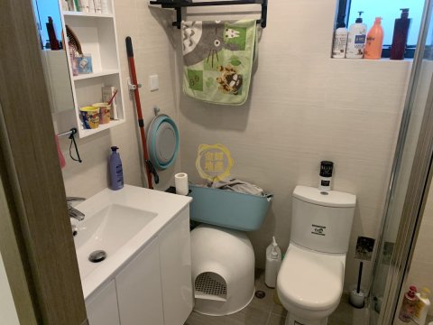 泥圍村屋