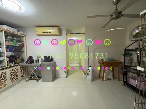 泰亨豪園  95081731