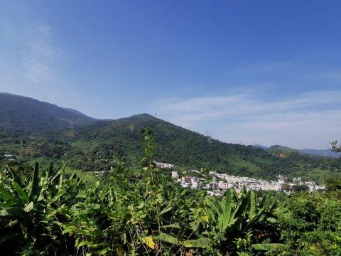 山頂花園 95080030