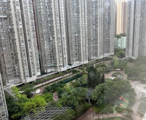 llam.com.hk