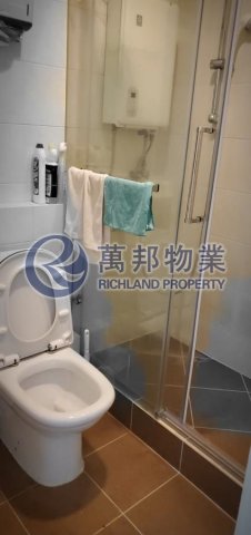 大埔中心