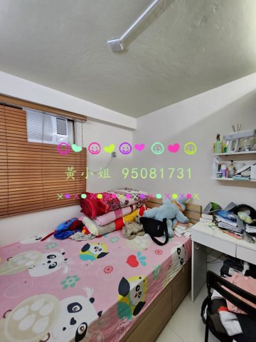 蘆慈田   95081731