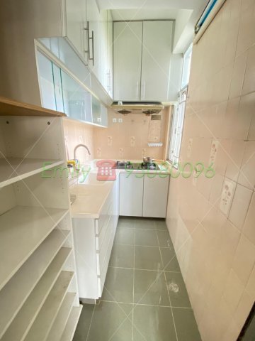 春暉花園 @ EMILY 95080096