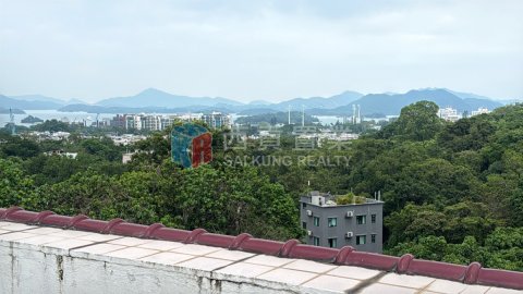 南山村